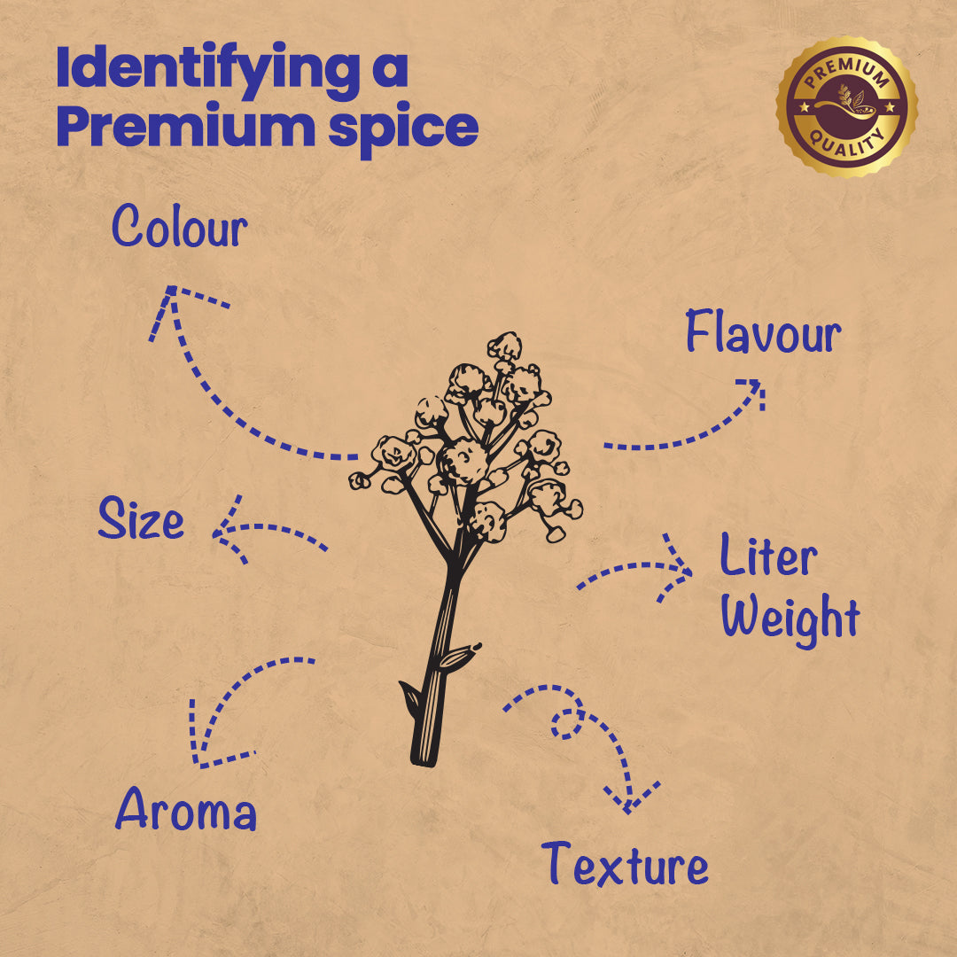 CRISTA Tempering Spices (Masala) Combo Pack