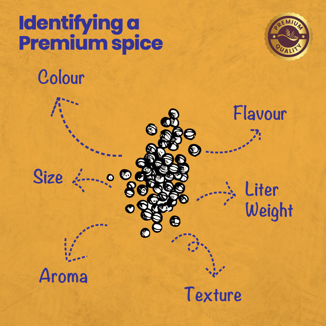 CRISTA Tempering Spices (Masala) Combo Pack
