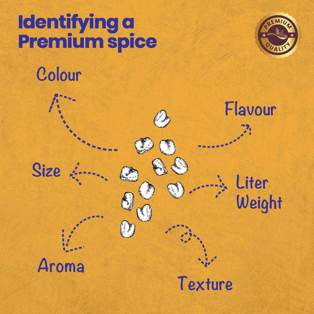 CRISTA Tempering Spices (Masala) Combo Pack