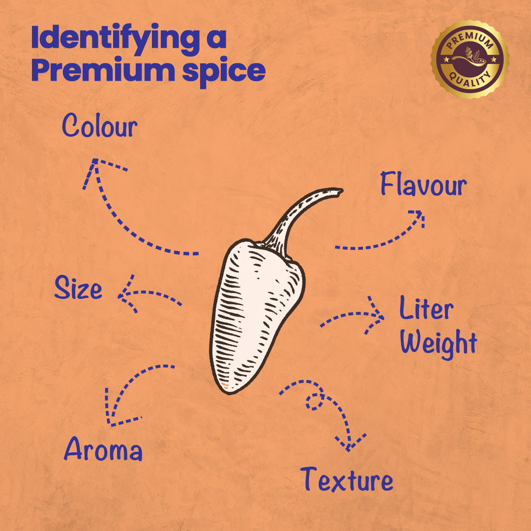 CRISTA Kitchen Ground Spices (Masala) Basics Combo Pack - 1