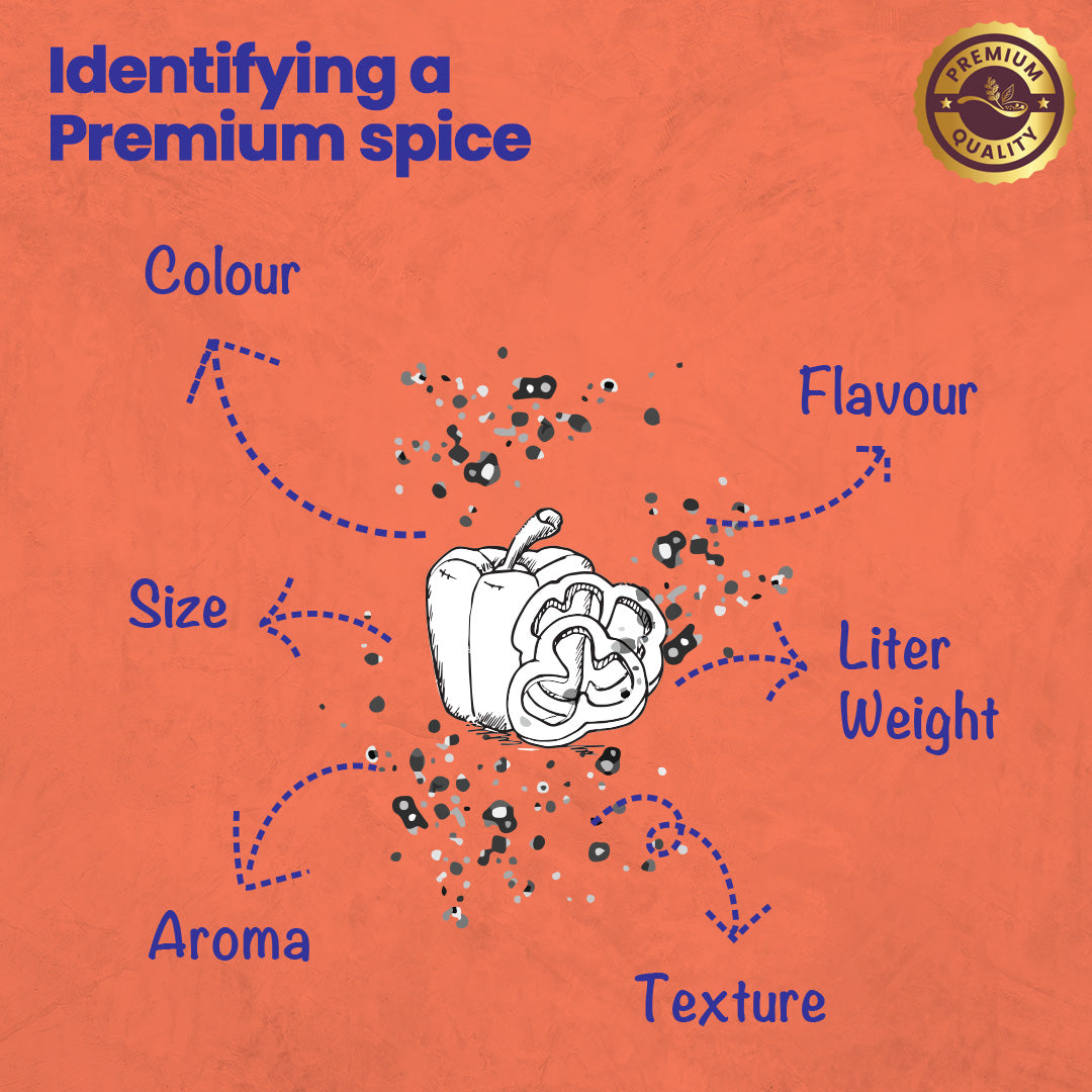 CRISTA Kitchen Ground Spices (Masala) Basics Combo Pack - 3