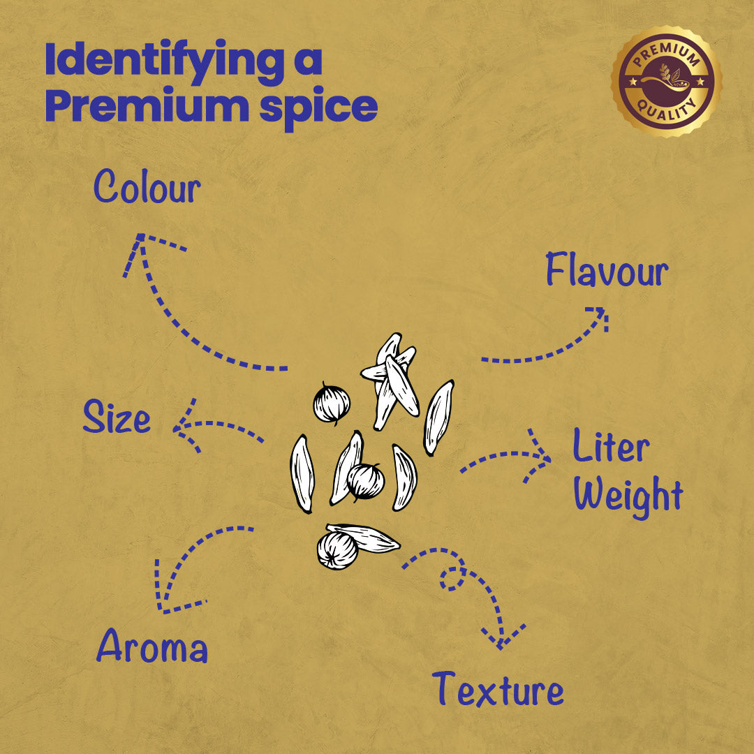 CRISTA Kitchen Ground Spices (Masala) Basics Combo Pack - 2
