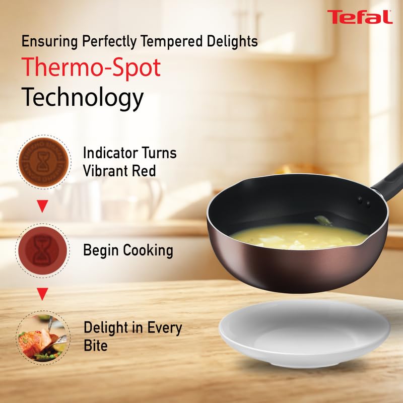 Tefal Day by Day Non-Stick Deep Frypan/Thermo-Spot Technology/PFOA Free, Titanium Non-Stick Coating / 24 cm/Superior Induction Base/Suitable for All Hob Type/Brown / 2 Years of Warranty