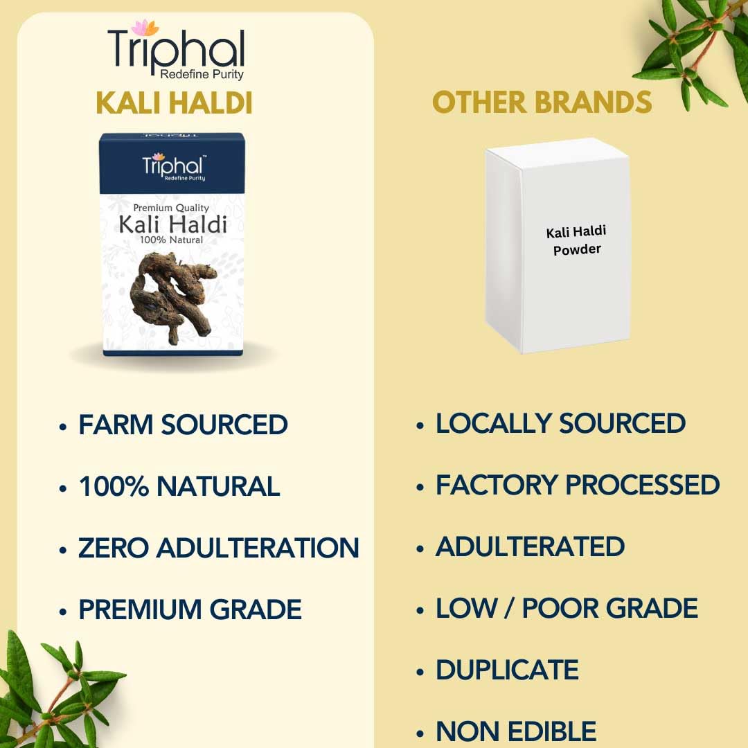 TRIPHAL BRAND Kali Haldi or Black Turmeric or Narkachur or Narkachoor | Raw and Natural (100 grams)