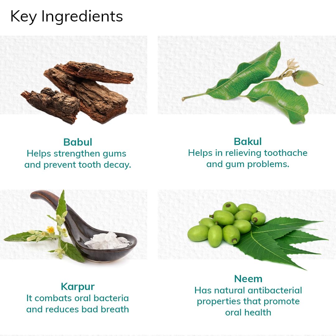 Vedistry Ayurvedic Gumcare Gel | Complete oral care for healthy gums and strong teeth | with babul, neem, Kapur, Bakul | Ayurvedic Gum care Toothpaste 50 Gram