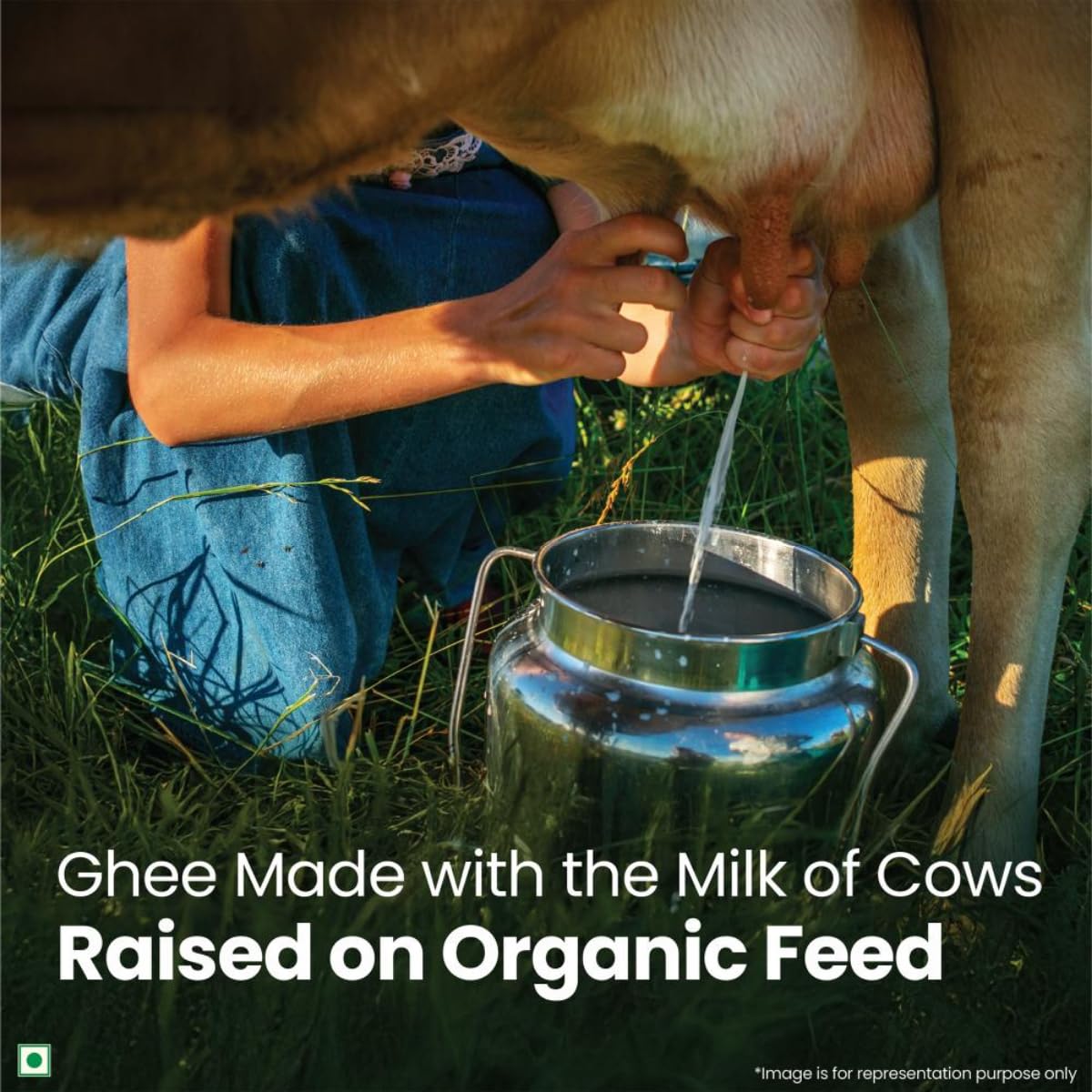 A TATA Product - Organic India Pure Cow Ghee, 500ml, Lab Tested on 600+ Parameters, Certified Organic, Glass Bottle, Sourced from Organically Fed Cows, Authentic Taste, Rich in Healthy Fat