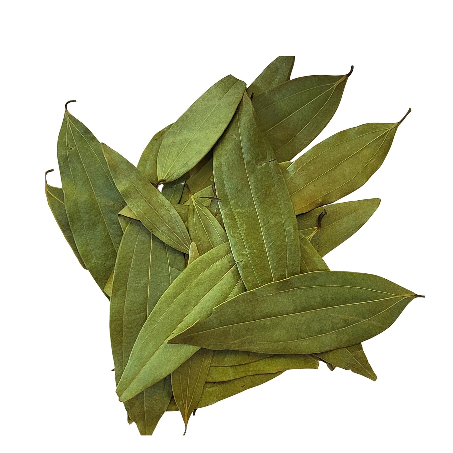 The Masalewale's Bay Leaf | Tejpaan/Tejpatta Whole | Authentic Tejpatta | 100% Natural | Fresh | Organic | Hand Picked | Grade A | Export Quality | Dried | Indian Spice And Herbs (100)