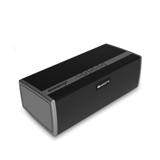 BoomerFX Plus Bluetooth Speaker