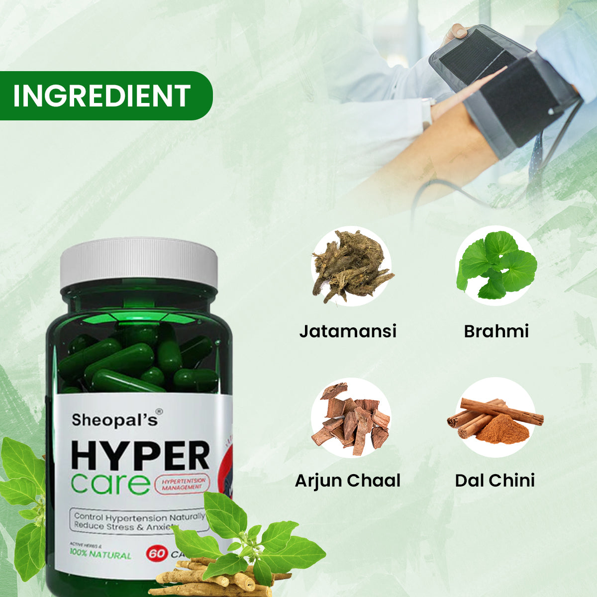 Sheopals Hyper Care BP - 60 Capsules