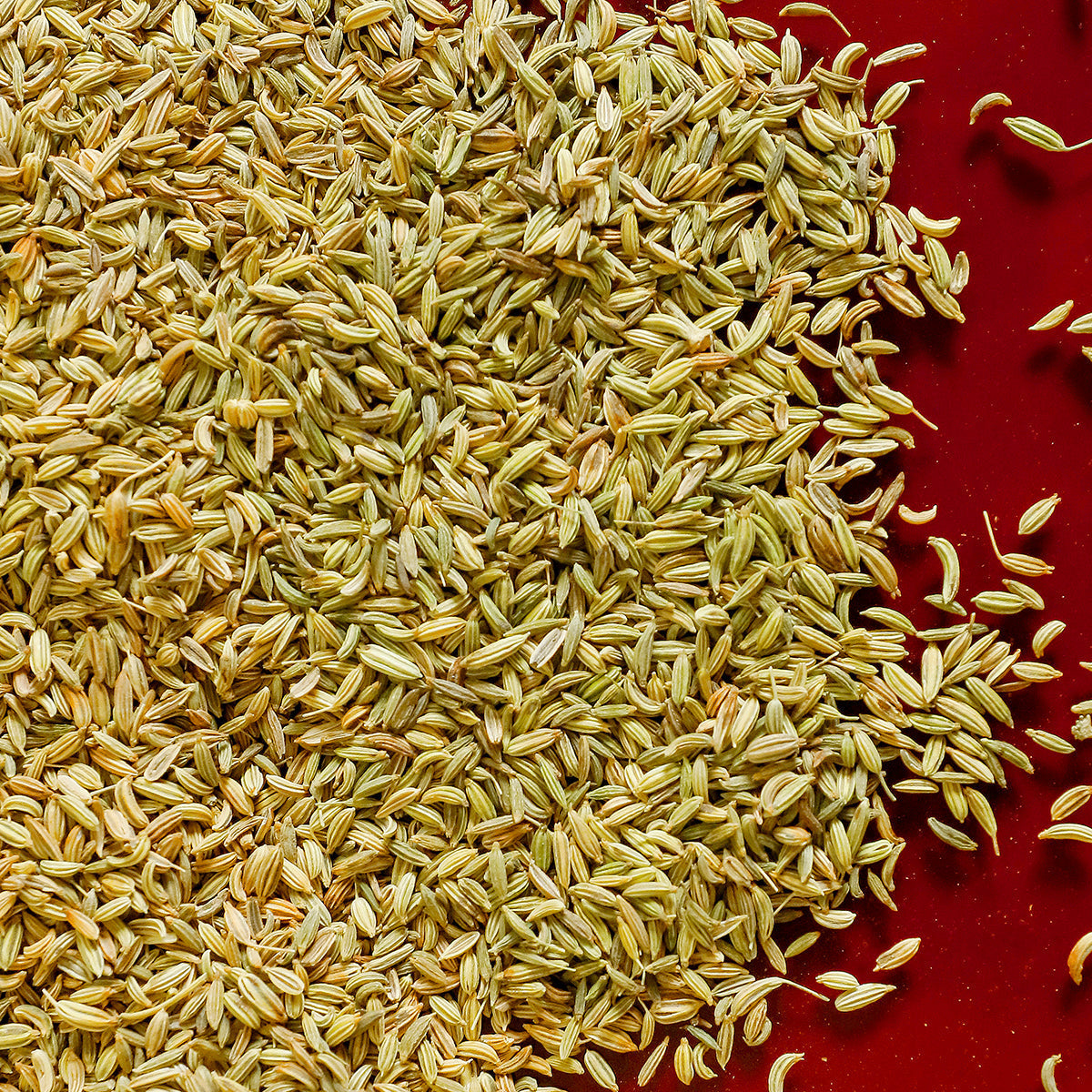 Vaahe Fennel