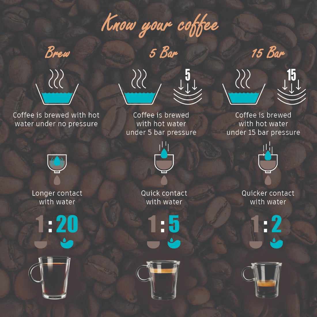 Wonderchef Renewed Regalia Brew Coffee Maker | 550 W | 700ml Borosilicate Glass Carafe | 3-in-1 Filter Coffee, Espresso, Cappuccino | Auto Shut Off | Removable Cone Filter | 7 Cups Coffee | 1 Year Warranty