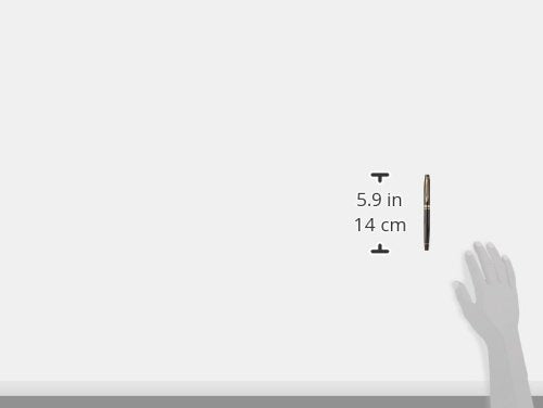 Waterman Expert Gold Trim Fountain Pen, Fine Nib (Black)