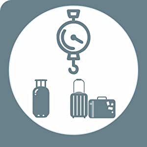 Atipriya Venus Commercial Hanging Weighing Scale - 200Kg, Silver