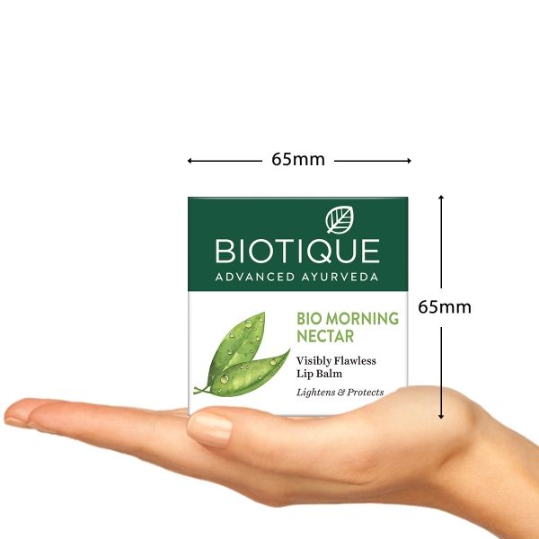 Biotique Morning Nectar Rich Nourish Lip Balm - 12 gms