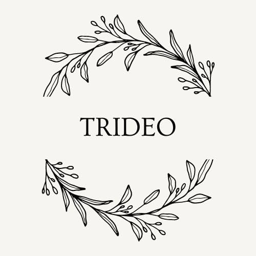 TRIDEO 15 YEARS WARRANTY Electronic Portable Digital LED Screen Luggage Weighing Scale|Baggage Weight Scale|with Hook for Travel, Fish Weighing, Black