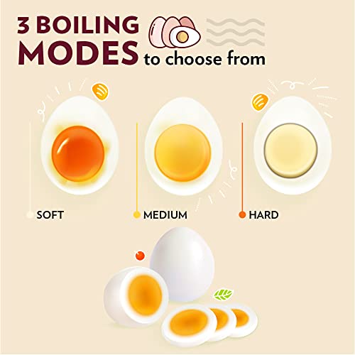 Borosil Electric Egg Boiler, 8 Egg Capacity, For Hard, Soft, Medium Boiled Eggs, Steamed Vegetables, Transparent Lid, Stainless Steel Exterior (500 Watts)
