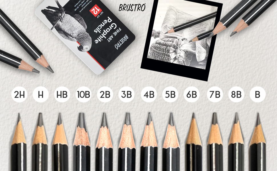 BRUSTRO Fine Art Graphite Pencil Set |10B - 2H | Pack of 12 with Elegant Tin Box| Ideal for Students and Adults, Drawing, Sketching, Mandala Shading, Pencils For Beginners and Artists