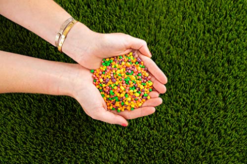 8x Nerds Wonka Rainbow Nerds Candy, 141g each, Mixed Fruit - Pack of 8