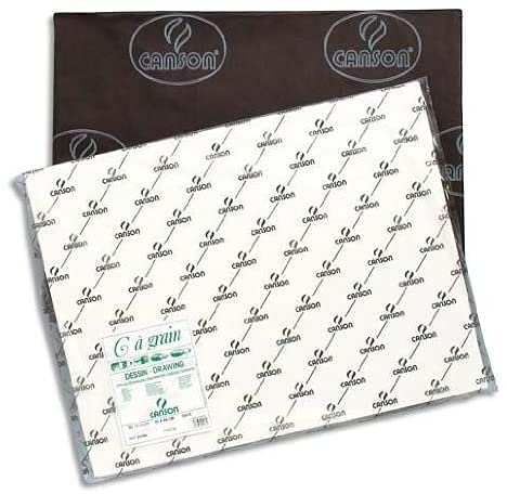 Canson C à Grain Drawing 224 GSM Fine Grain 50 x 65 cm Paper Sheets (Natural White, 50 Sheets)