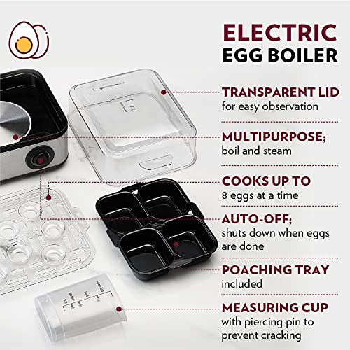 Borosil Electric Egg Boiler, 8 Egg Capacity, For Hard, Soft, Medium Boiled Eggs, Steamed Vegetables, Transparent Lid, Stainless Steel Exterior (500 Watts)