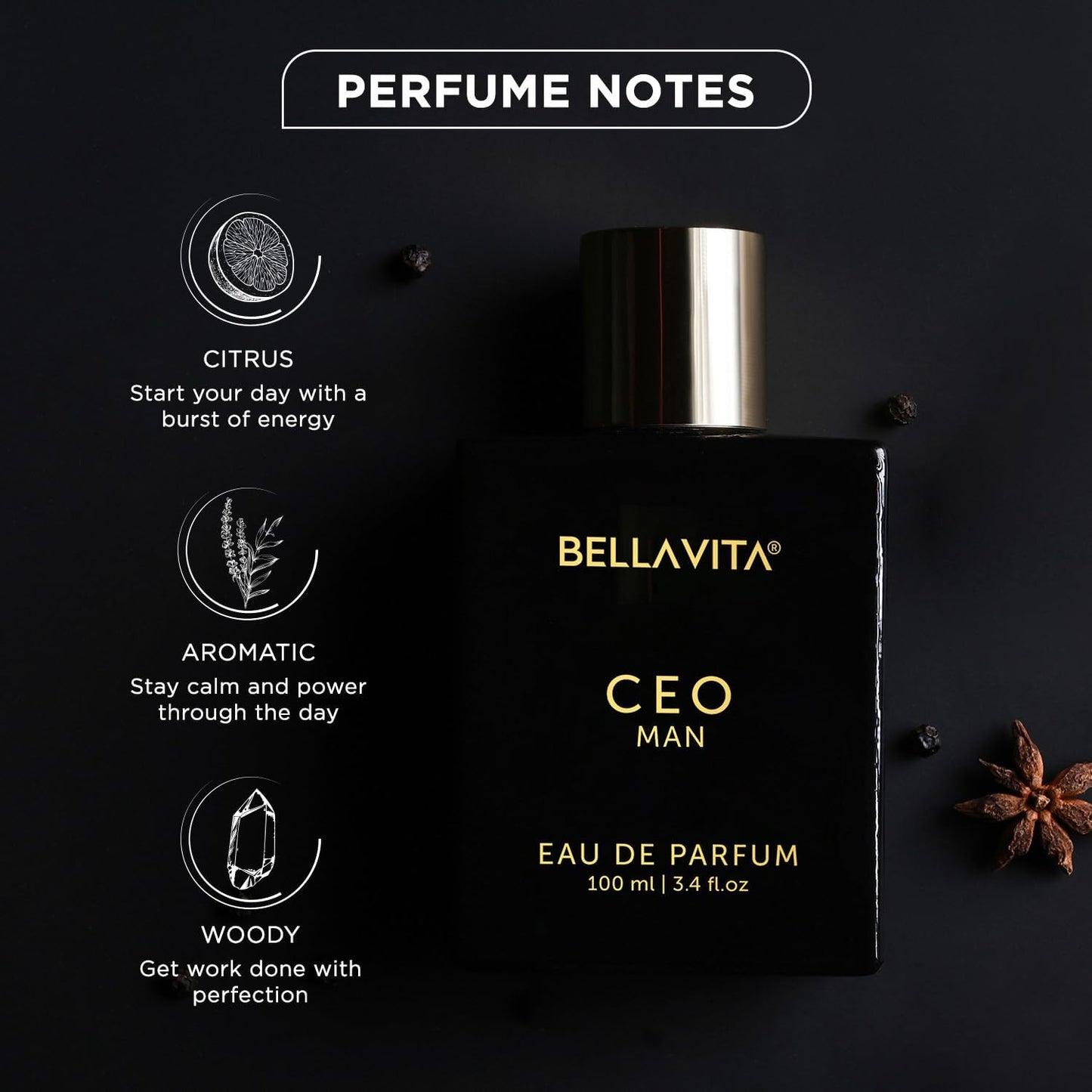 Bella Vita Luxury CEO Man Eau De Parfum Perfume with Lemon, Lavender, Tonka, Mandarin & Vetiver|Premium, Long Lasting Woody Fragrance for Men, 100 ML