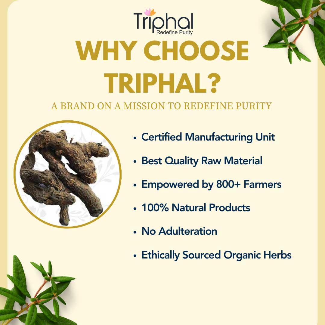 TRIPHAL BRAND Kali Haldi or Black Turmeric or Narkachur or Narkachoor | Raw and Natural (100 grams)