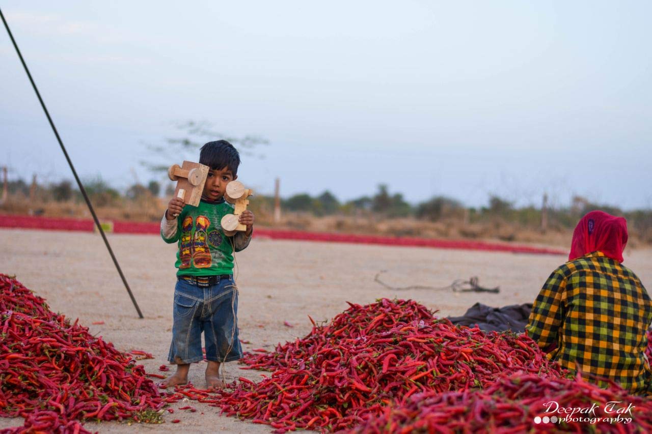 Shirish Masala Whole Mathania Red Chilli (Lal Mirch)(Stemless) 1 Kg,Sortex Clean, 70 Years Of Trust