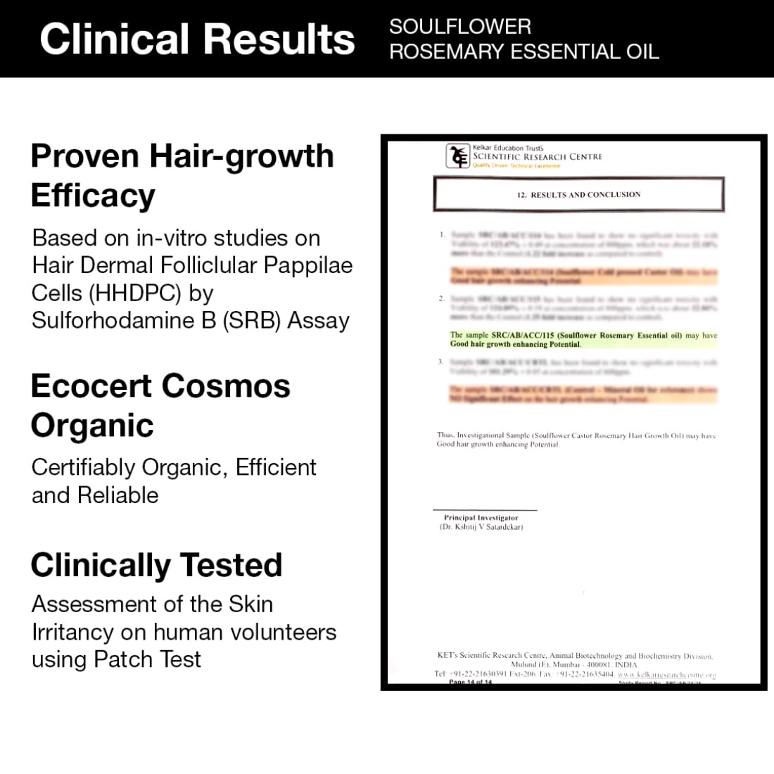 Soulflower Rosemary Essential Oil & Castor Oil for Hair Growth, Hair Fall Control, Hydrating & Moisturising Face & Skin | 100% Pure, Natural, Organic, Ecocert Certified| Pack of 2, 240ml