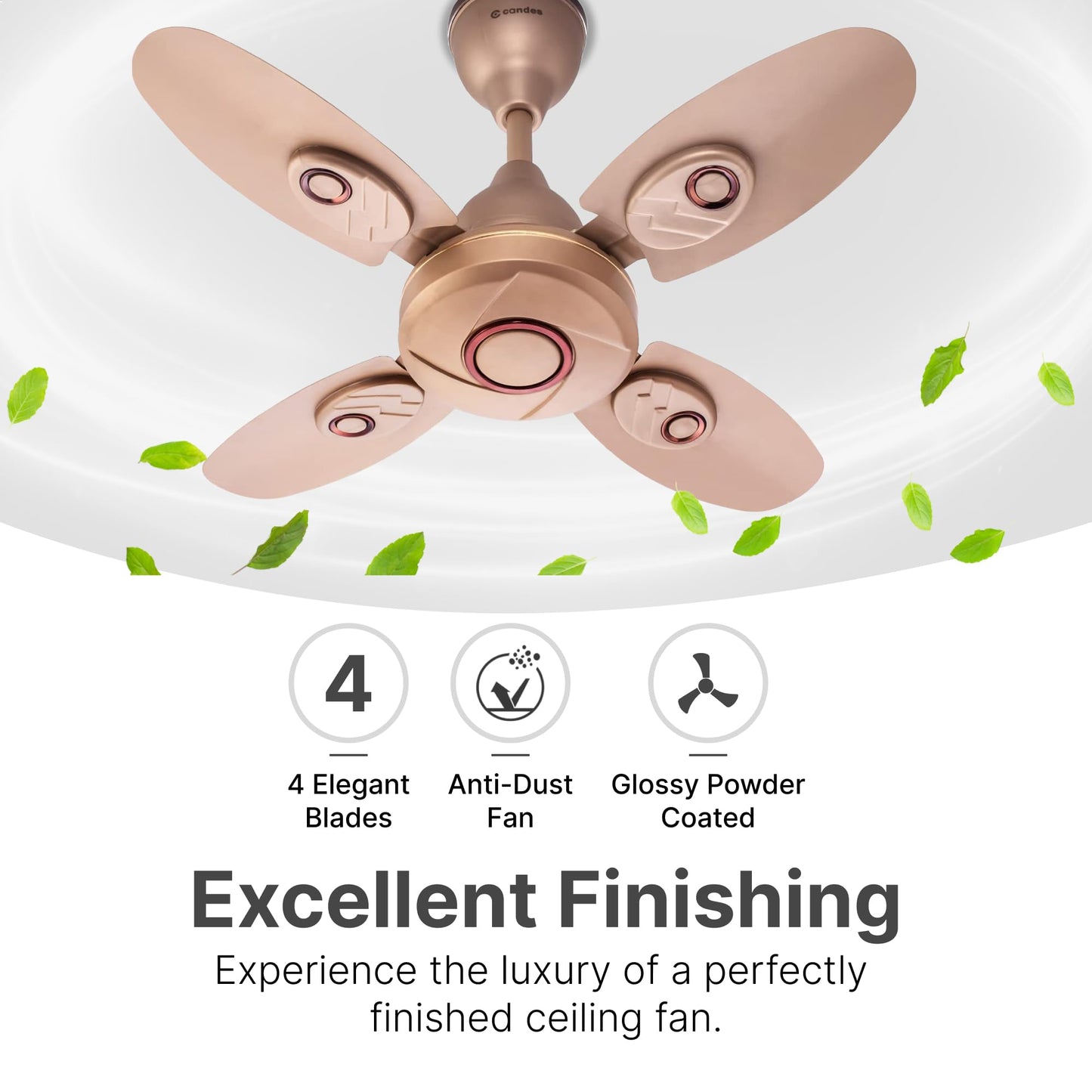 Candes Nexo 600 mm /24 inch High Speed Ceiling Fan | BEE Star Rated, High Air Delivery & Energy Saving | Small Fan for Kitchen, Balcony & Small Room | 1+1 Year Warranty | Golden