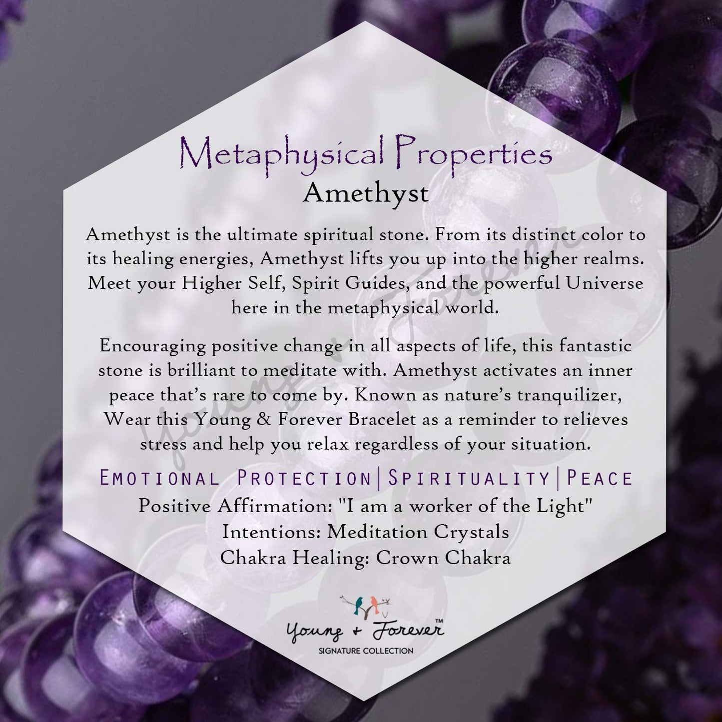 Young & Forever Gift Energized Reiki Crystal Semi Precious Gemstone Amethyst Bracelet for Purification Healing Stone Stretch Bracelet for Men and Women