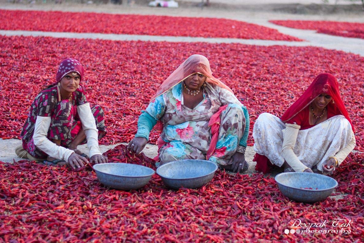 Shirish Masala Whole Mathania Red Chilli (Lal Mirch)(Stemless) 1 Kg,Sortex Clean, 70 Years Of Trust