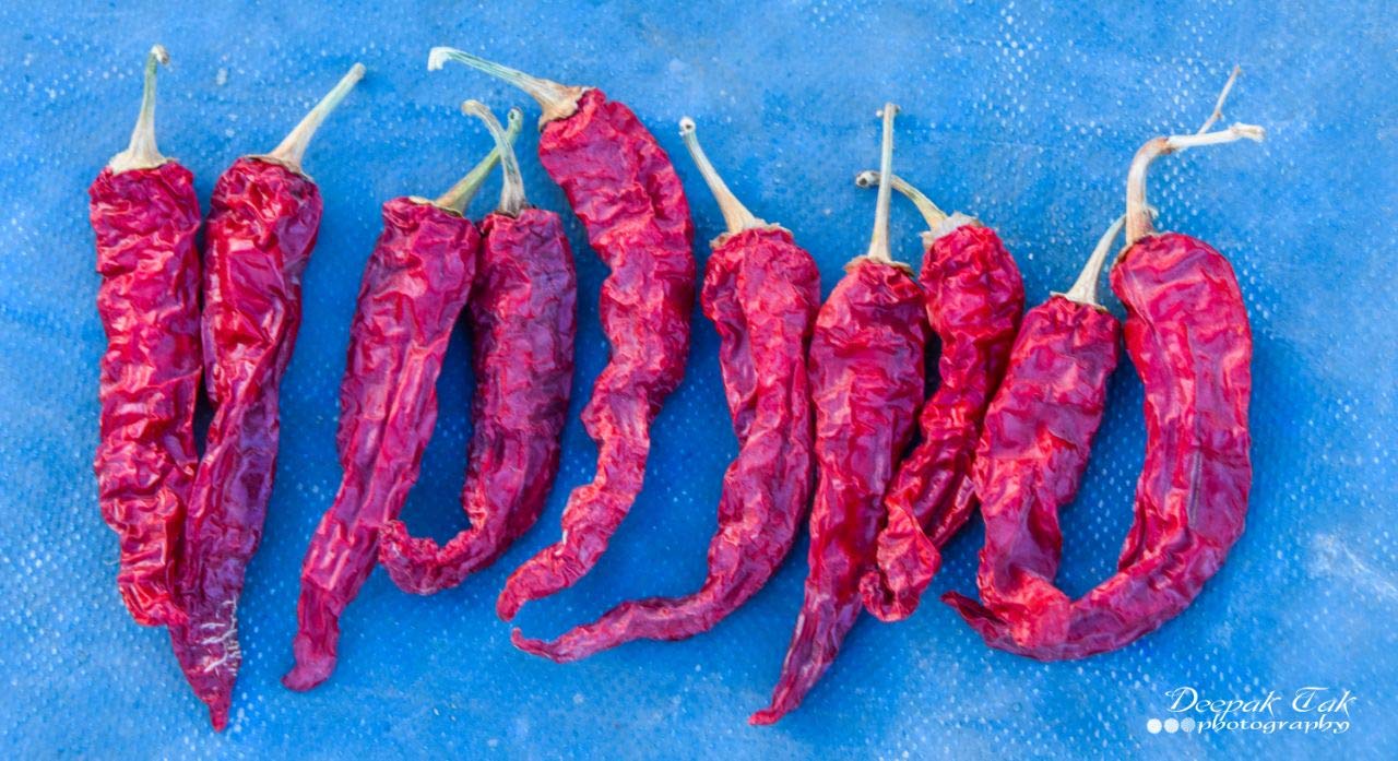 Shirish Masala Whole Mathania Red Chilli (Lal Mirch)(Stemless) 1 Kg,Sortex Clean, 70 Years Of Trust