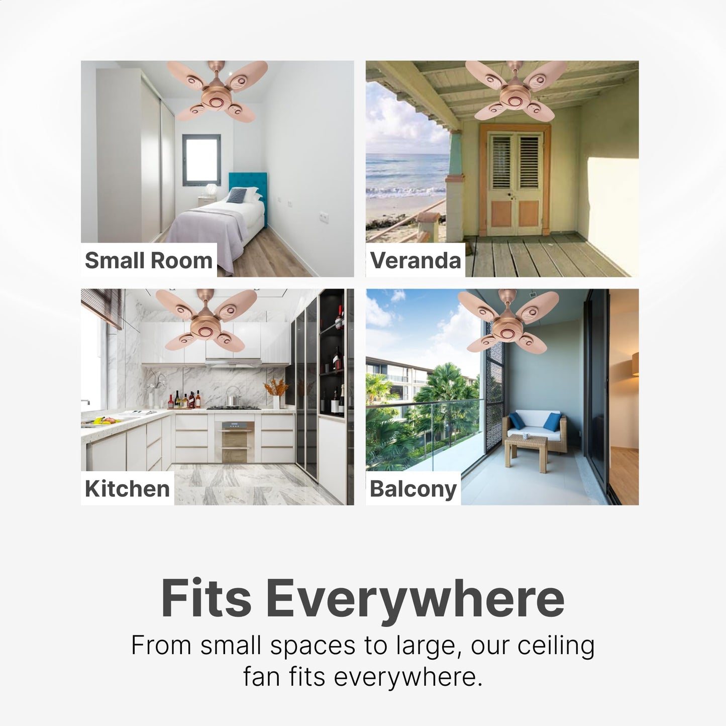 Candes Nexo 600 mm /24 inch High Speed Ceiling Fan | BEE Star Rated, High Air Delivery & Energy Saving | Small Fan for Kitchen, Balcony & Small Room | 1+1 Year Warranty | Golden