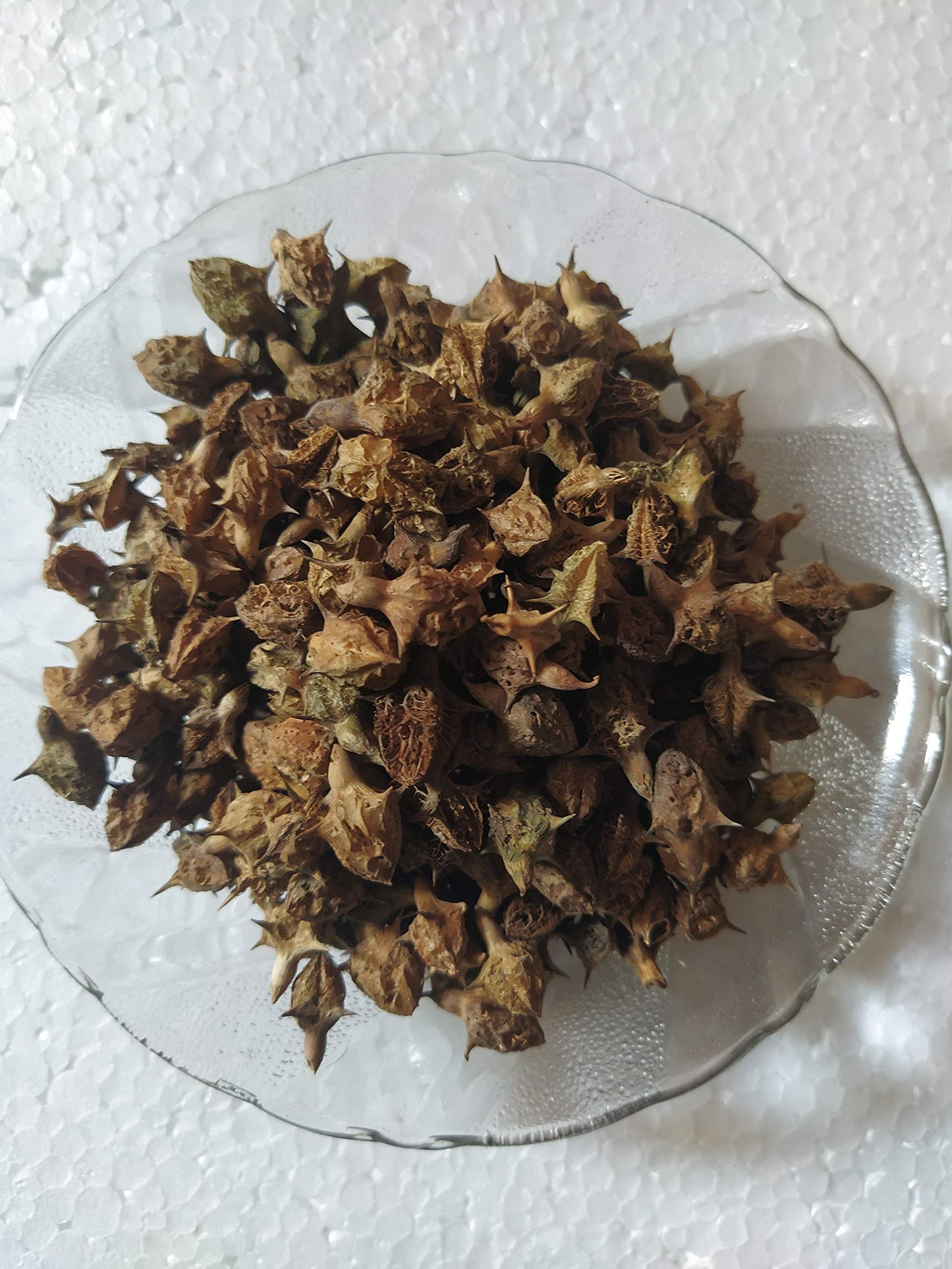 Ambe Ayurveda - Gokhru Bada Seed - Pedalium Murex - Large Caltrops Raw - 50gm