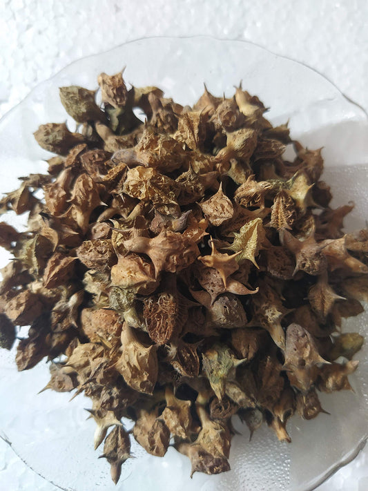 Ambe Ayurveda - Gokhru Bada Seed - Pedalium Murex - Large Caltrops Raw - 50gm