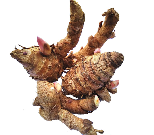 Vidagdha Black Turmeric | Kali haldi | Karumanjal | Seeds|Nalla Pasupu for Plantation (50 Gram)