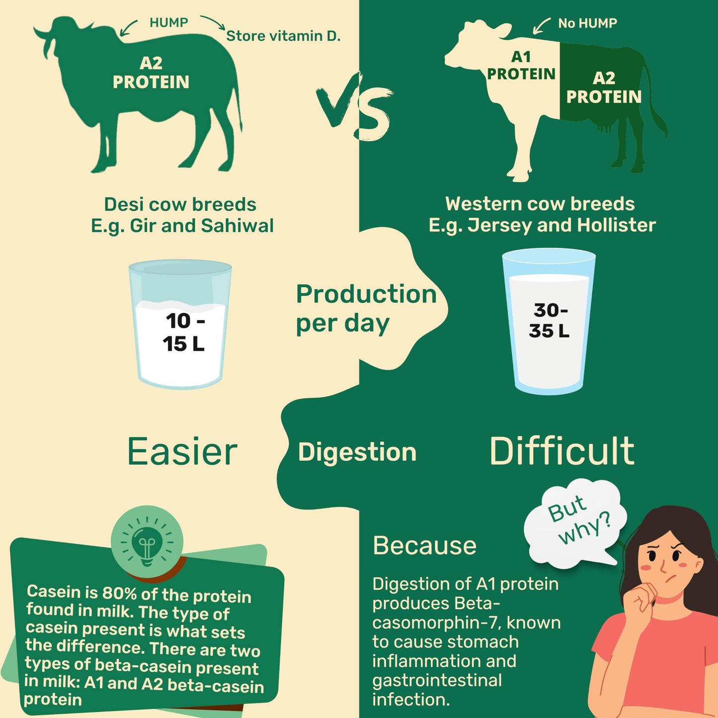 Village Company A2 Bilona Desi Cow Ghee | Bilona Method | Premium, Organic, Traditional | Grass Fed | Kangayam Desi Cow | Lab-Certified | Glass Jar 1L