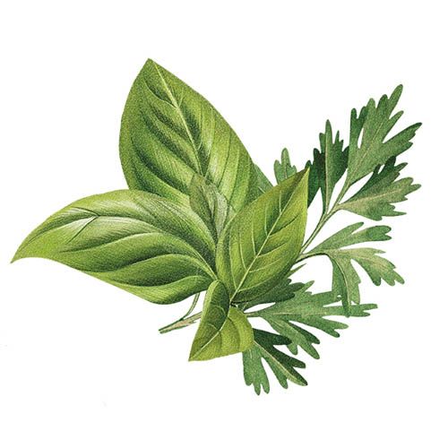 Biotique Basil And Parsley Revitalizing Body Soap