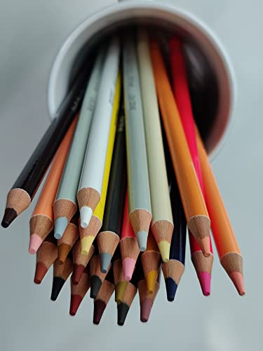 BRUSTRO Artists' Coloured Pencils Skin Tone Set of 24 with Drawing & Sketching Wiro Pad A4-160GSM (30 Sheets)