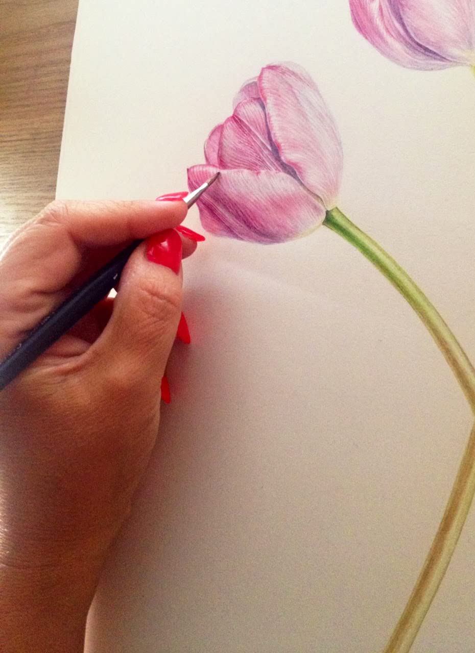 Brustro Artists’ Watercolour Paper 300 GSM 14 cm x 21 cm Hot Pressed (Pack of 12 + 3 Free Sheets)