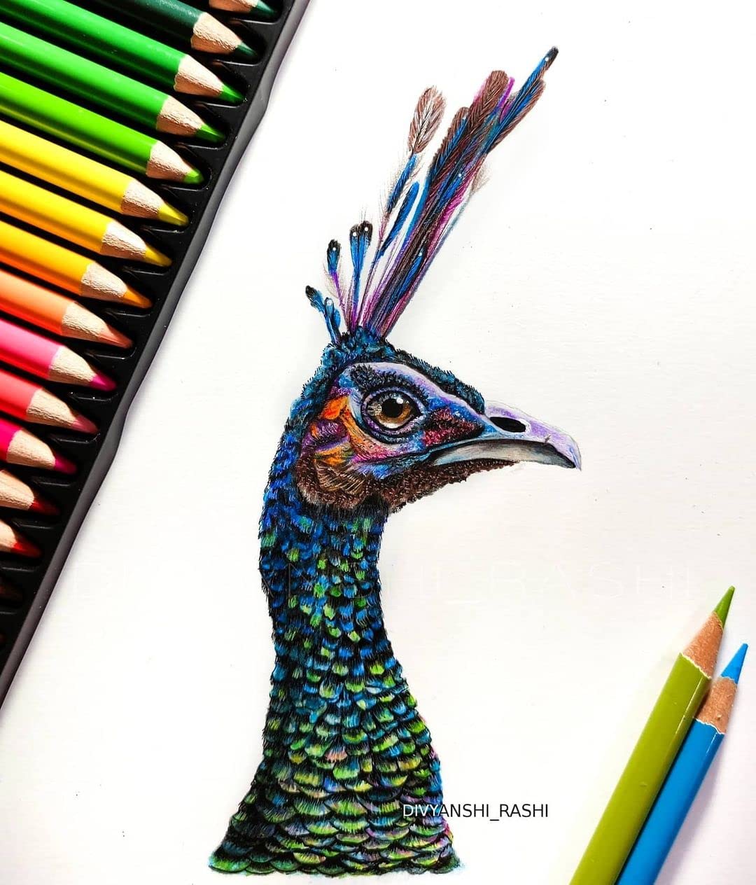 BRUSTRO Artists Colour Pencil Set of 72 (in Elegant tin Box) with Drawing Glued Pad