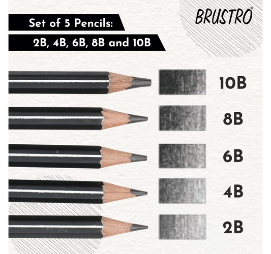 Brustro Artists’ Fineart Graphite Pencil Set of 12 (10B-2H) with 2 Brustro ECO-PVC Dust-free erasers and Brustro Pencil wrap (24 Slots) Canvas Roll Up Carry Case
