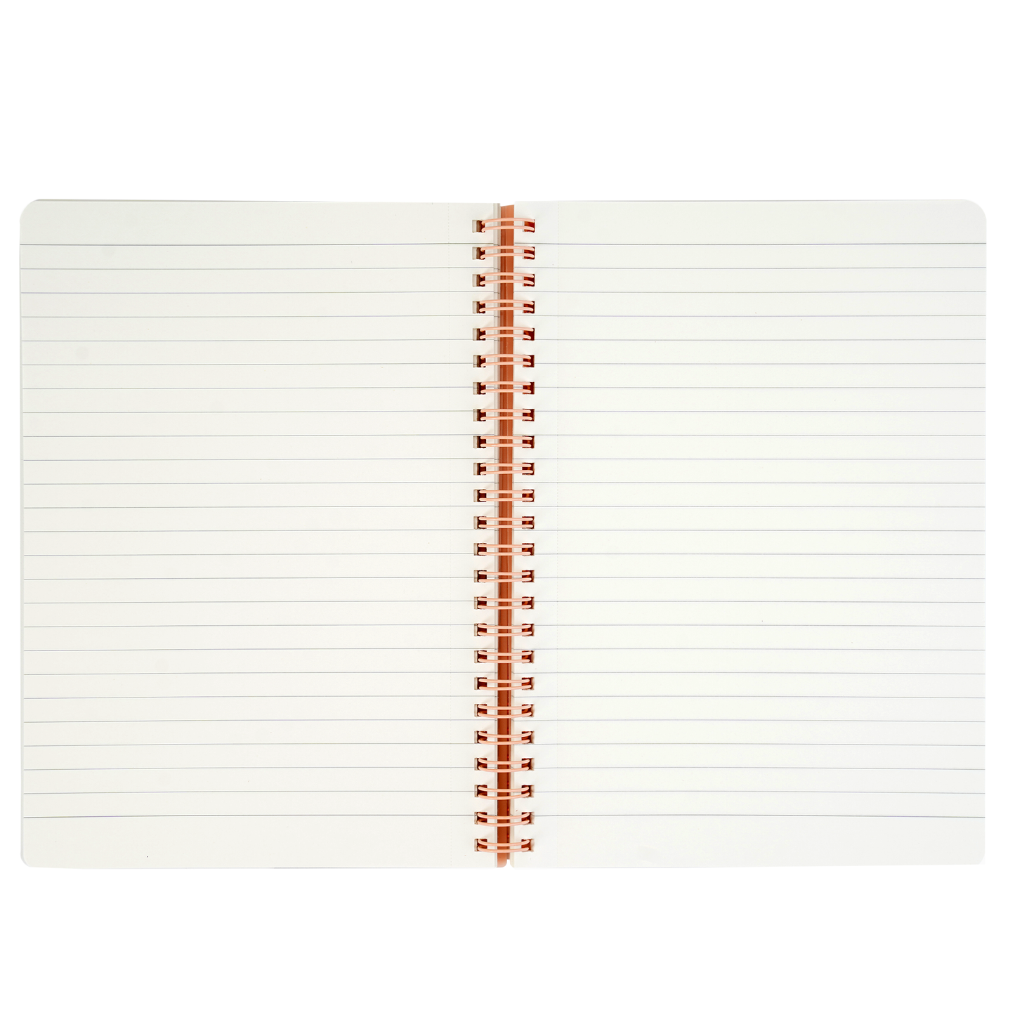 BRUSTRO Notes A5 Size,1 Subject Ruled Notebooks (Set of 5),80 sheets/160 pages,70 gsm ivory paper, Caramel/Aqua/Lime/Blush/Slate Cover,