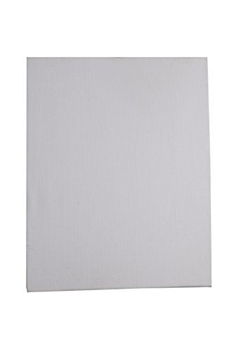 Brustro Stretched Canvas (Regular) 8"X10" (Pack Of 2)