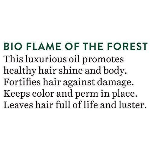Biotique Flame Of The Forest Intense Repair Therapeutic Hair Oil (120 ml)