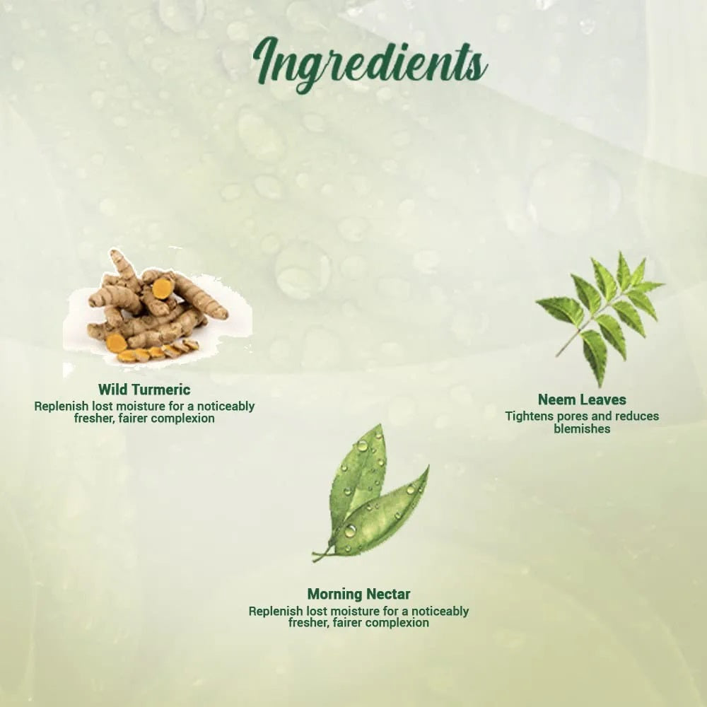 Biotique Morning Nectar Moisturize & Nourish Visibly Flawless Face Wash (All Skin Types)