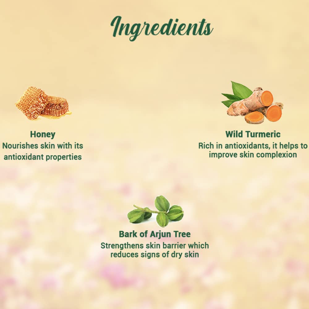 Biotique Honey Gel Soothe & Nourish Foaming Face wash For All Skin Types