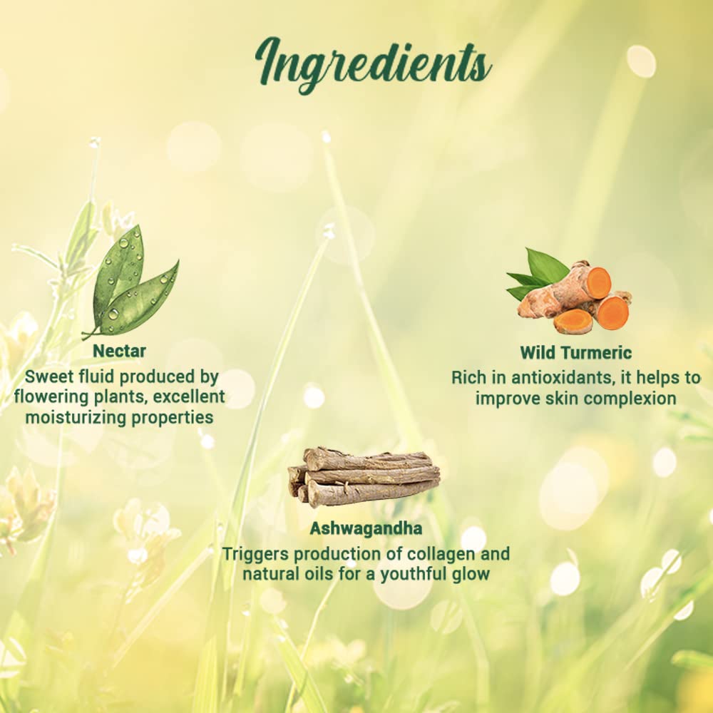 Biotique Morning Nectar Nourish & Hydrate Skin Moisturizer for All Skin Types