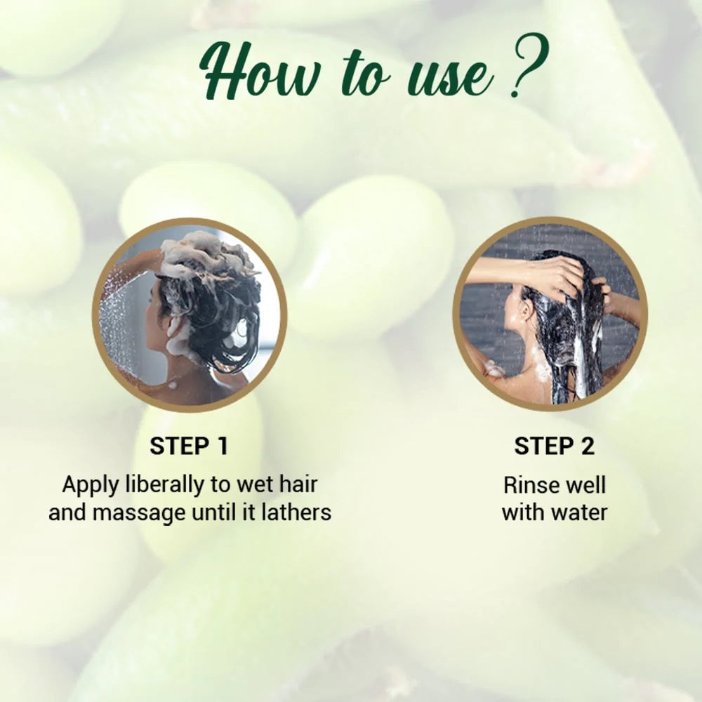 Biotique Soya Protein Intense Repair Shampoo for Dry, Damaged & Color Treated Hair