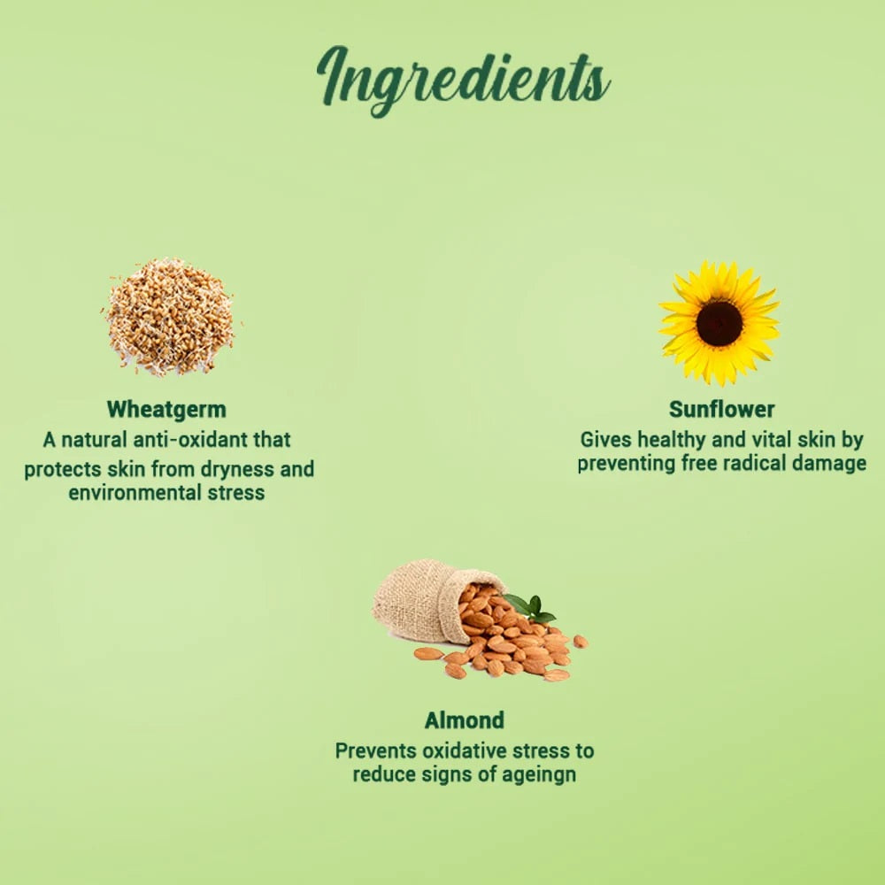 Biotique Wheatgerm Anti-Ageing Night Cream for Normal to Dry Skin - 50 gms